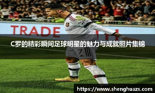 zoty中欧官方网站